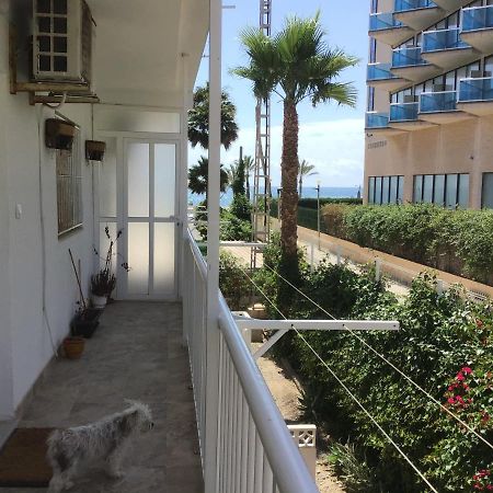 Carpe Diem Διαμέρισμα El Albir Εξωτερικό φωτογραφία